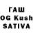МЕФ VHQ Kushtarbek Toichubekov