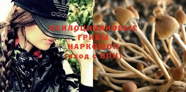 каннабис Баксан