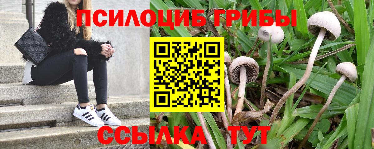 Псилоцибиновые грибы мухоморы  Вход с VPN  Краснокаменск 